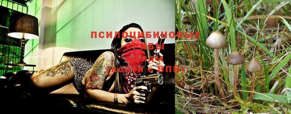 a pvp Балабаново