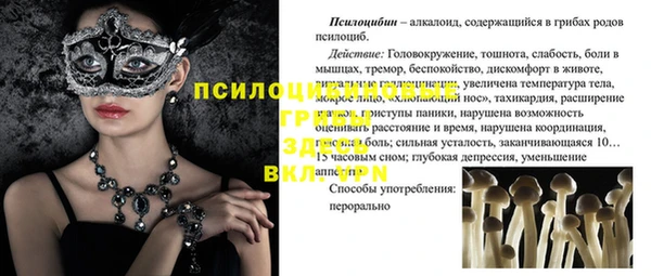 гидропоника Балахна