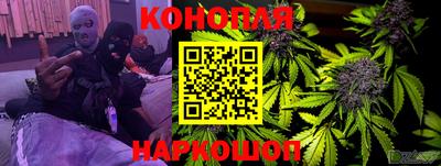 крисы Гулькевичи