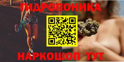 крисы Гулькевичи