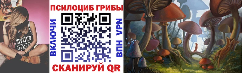 Галлюциногенные грибы мицелий даркнет сайт Бор
