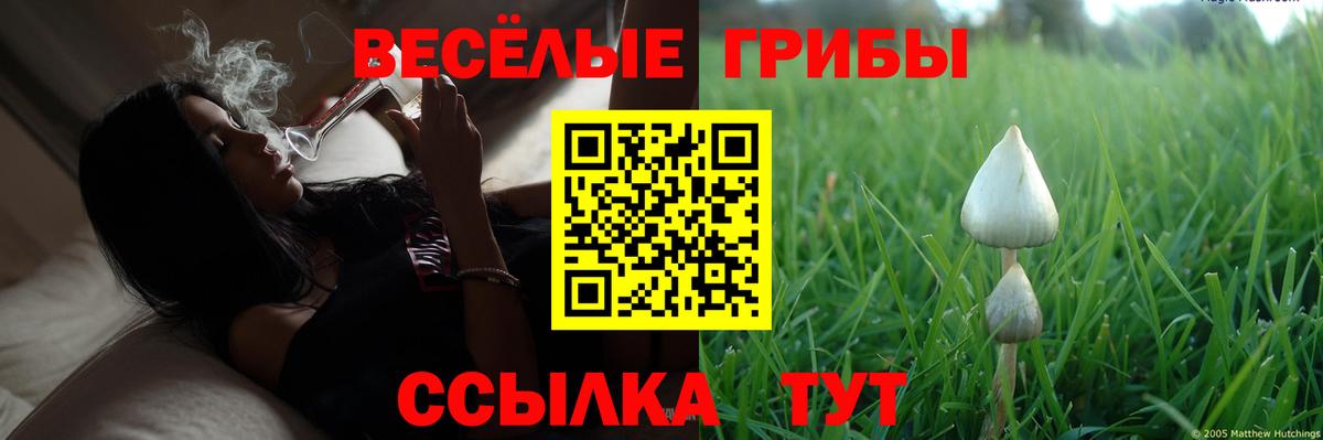 магазин    Вход с VPN  Псилоцибиновые грибы мицелий  Бор  Псилоцибиновые грибы мухоморы 