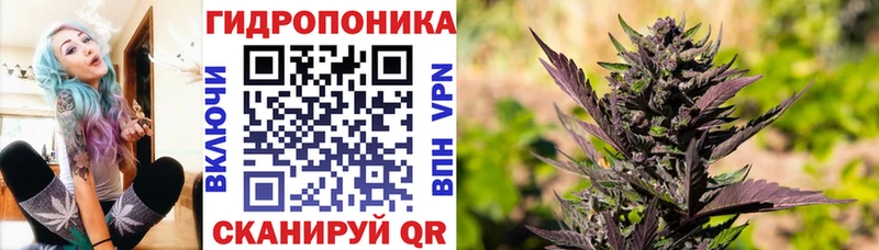 МАРИХУАНА Amnesia  Бор 